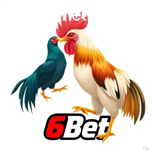 The Rise of Online Sabong: Exploring the Phenomenon with 6Bet